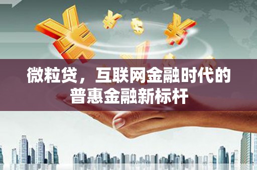 枞阳微粒贷，互联网金融时代的普惠金融新标杆