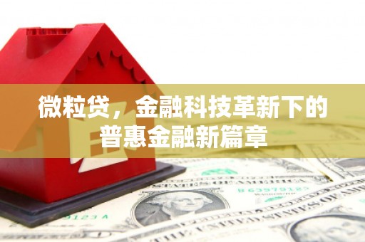 枞阳微粒贷，金融科技革新下的普惠金融新篇章