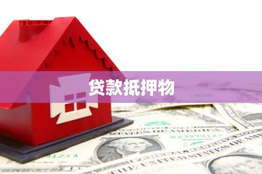 枞阳贷款抵押物