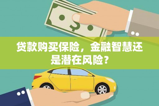 枞阳贷款购买保险，金融智慧还是潜在风险？