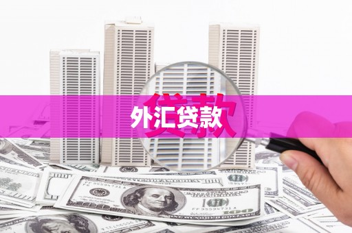 枞阳外汇贷款