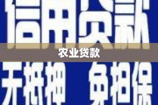 枞阳农业贷款