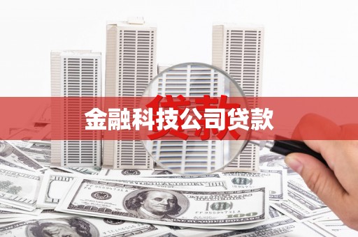 枞阳金融科技公司贷款