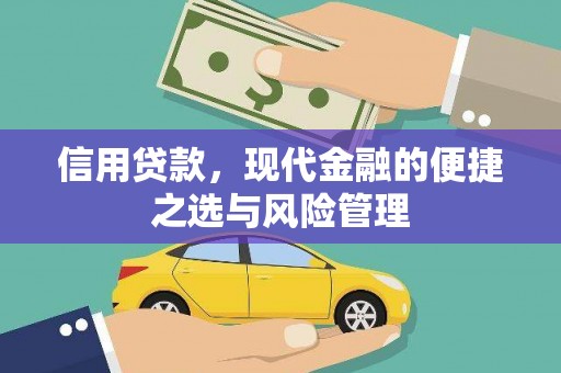 枞阳信用贷款，现代金融的便捷之选与风险管理