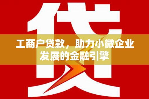 枞阳工商户贷款，助力小微企业发展的金融引擎