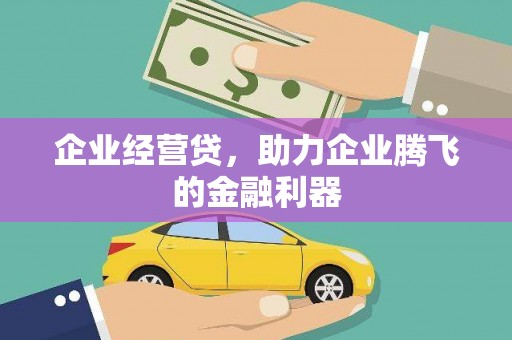 枞阳企业经营贷，助力企业腾飞的金融利器