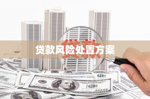 枞阳贷款风险处置方案