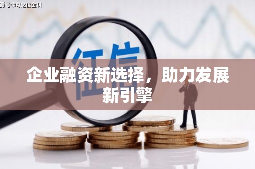 枞阳企业融资新选择，助力发展新引擎