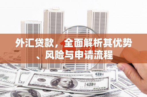 枞阳外汇贷款，全面解析其优势、风险与申请流程
