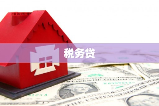 枞阳税务贷