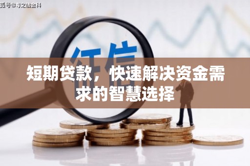 枞阳短期贷款，快速解决资金需求的智慧选择
