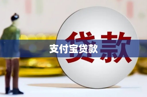 枞阳支付宝贷款