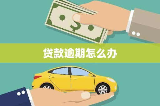 枞阳贷款逾期怎么办