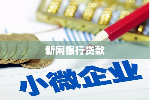 枞阳新网银行贷款