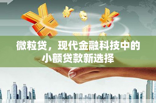 枞阳微粒贷，现代金融科技中的小额贷款新选择