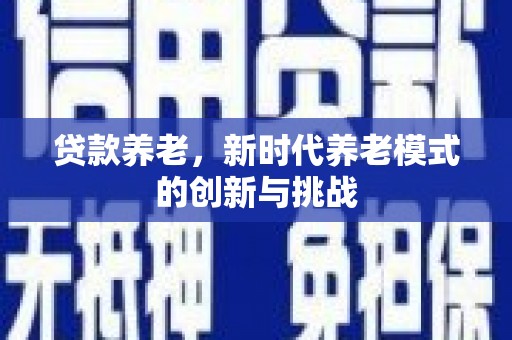 枞阳贷款养老，新时代养老模式的创新与挑战
