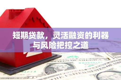 枞阳短期贷款，灵活融资的利器与风险把控之道