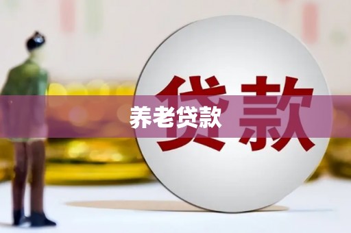 枞阳养老贷款