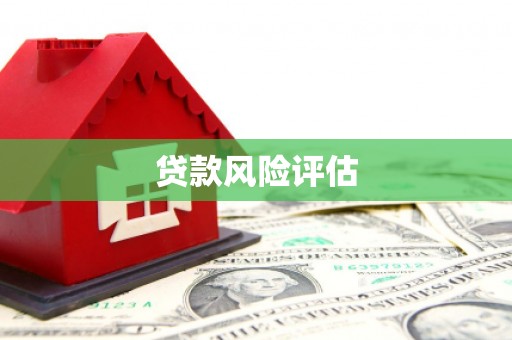 枞阳贷款风险评估