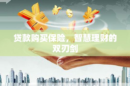 枞阳贷款购买保险，智慧理财的双刃剑