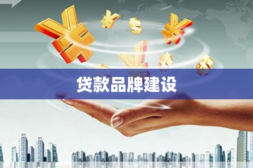 枞阳贷款品牌建设