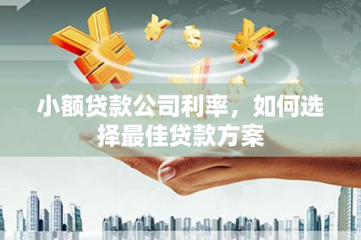 枞阳小额贷款公司利率，如何选择最佳贷款方案