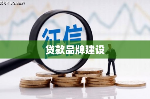 枞阳贷款品牌建设