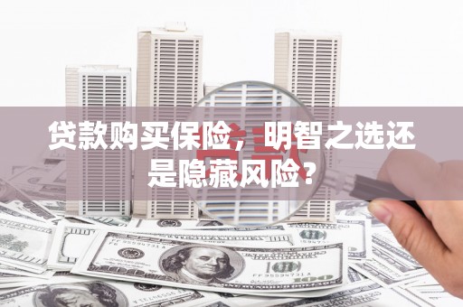 枞阳贷款购买保险，明智之选还是隐藏风险？
