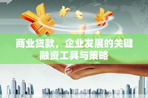 枞阳商业贷款，企业发展的关键融资工具与策略