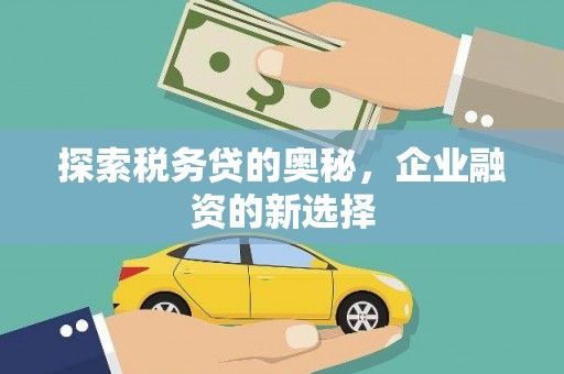 枞阳探索税务贷的奥秘，企业融资的新选择