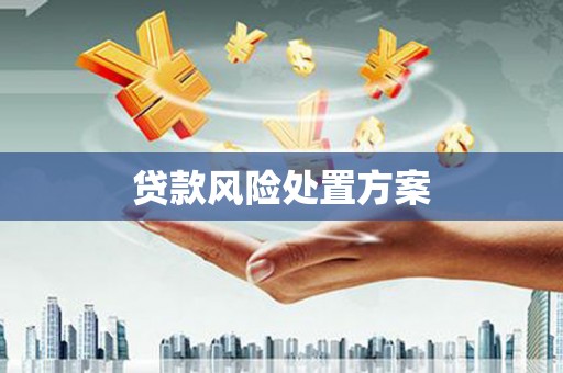 枞阳贷款风险处置方案