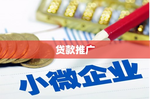枞阳贷款推广