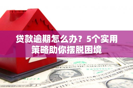 枞阳贷款逾期怎么办？5个实用策略助你摆脱困境