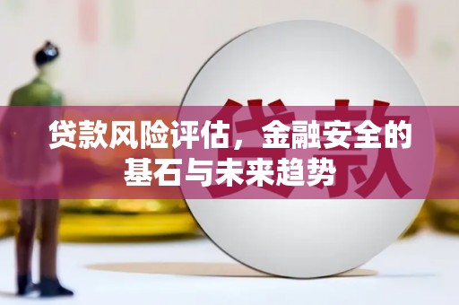 枞阳贷款风险评估，金融安全的基石与未来趋势