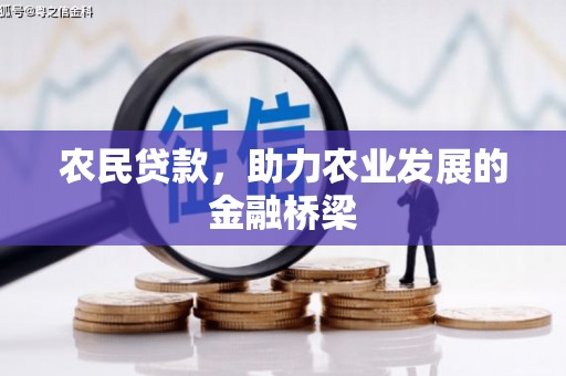 枞阳农民贷款，助力农业发展的金融桥梁