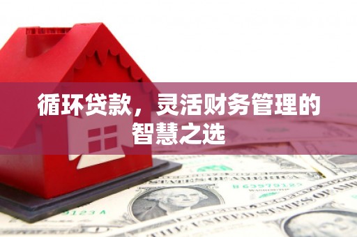 枞阳循环贷款，灵活财务管理的智慧之选
