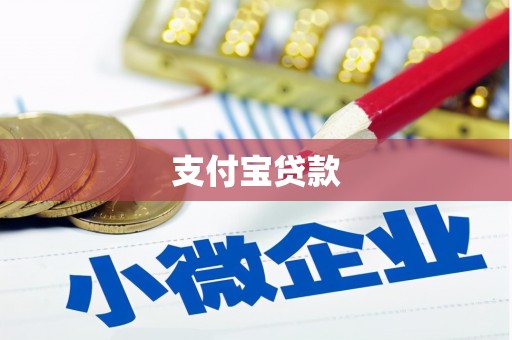 枞阳支付宝贷款