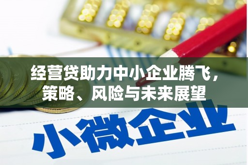 枞阳经营贷助力中小企业腾飞，策略、风险与未来展望