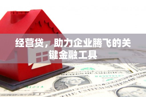 枞阳经营贷，助力企业腾飞的关键金融工具