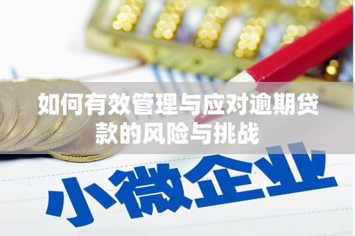 枞阳如何有效管理与应对逾期贷款的风险与挑战