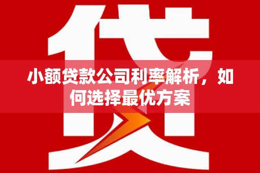 枞阳小额贷款公司利率解析，如何选择最优方案