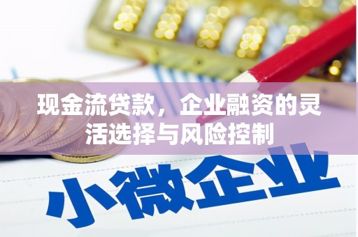 枞阳现金流贷款，企业融资的灵活选择与风险控制