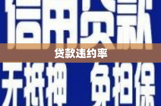 枞阳贷款违约率