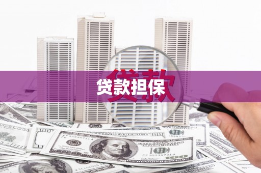 枞阳贷款担保