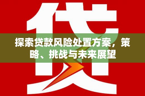 枞阳探索贷款风险处置方案，策略、挑战与未来展望