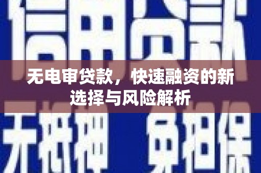 枞阳无电审贷款，快速融资的新选择与风险解析