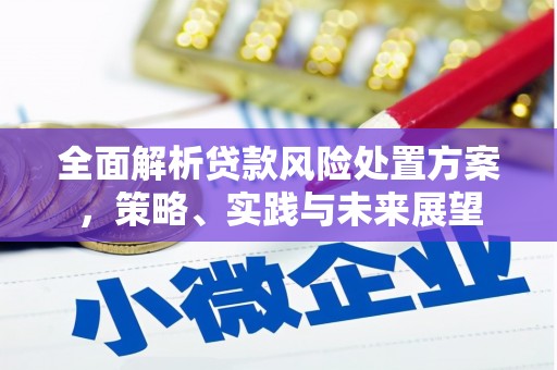 枞阳全面解析贷款风险处置方案，策略、实践与未来展望