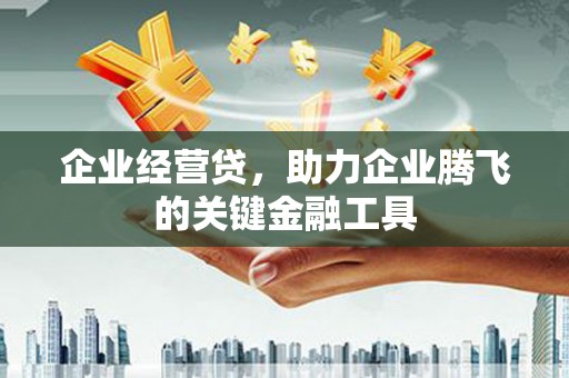 枞阳企业经营贷，助力企业腾飞的关键金融工具