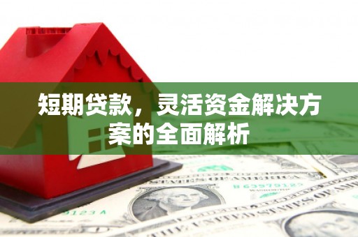 枞阳短期贷款，灵活资金解决方案的全面解析