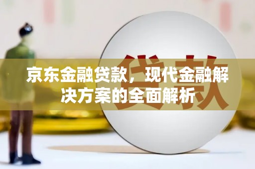 枞阳京东金融贷款，现代金融解决方案的全面解析